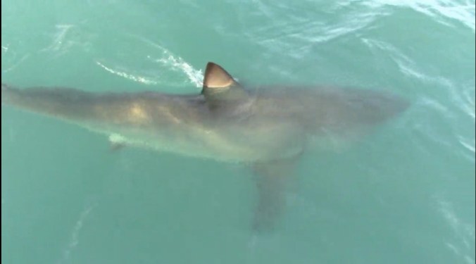 Screen Shot 2017-10-10 at 2.41.15 PM