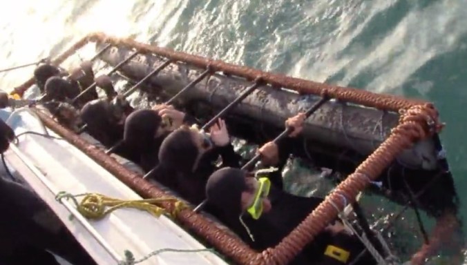 Screen Shot 2017-10-10 at 2.43.55 PM