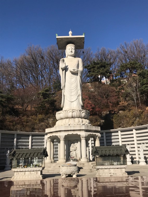 oVx10E0HRD6pQ1dWUDddPA